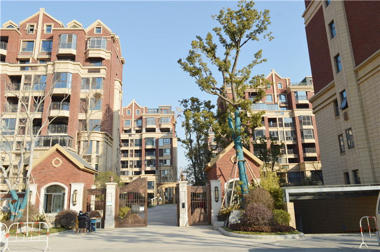 DSC_6476_看图王.jpg